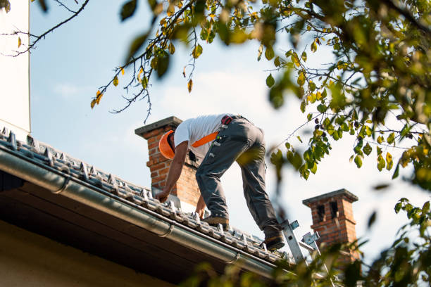 Best Roof Leak Repair  in Sardinia, OH